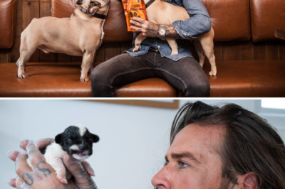 Behind The Stage Lights: Pete Wicks’ Journey To Rescue 170 Souls From An Earthly “Hell”