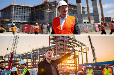 Elon Musk stated that he will open more Tesla branches to create many more jobs for local people