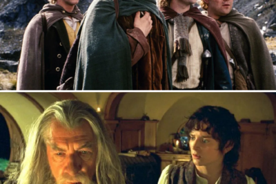 A Masterpiece Labeled “For Nerds” For 20 Years And The Spectacular Comeback To Become The Greatest Monument In History!