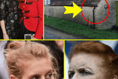 JUST IN: Princess Beatrice SPARKS FRENZY After Renovation Work Spotted at Annexe Beside Her £3.5M Mansion — Comes JUST As Fergie Intensifies Her Own Home Hunt