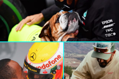 HEARTBREAKING MOMENT — Lewis Hamilton’s brother mourns the devastating loss of his beloved companion, leaving family and fans in tears