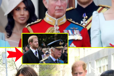 “IS THIS THE TRUCE NO ONE EXPECTED?” — King Charles Extends a Christmas Olive Branch to Prince Harry… and Insiders Say RECONCILIATION Is Suddenly ‘Realistic’