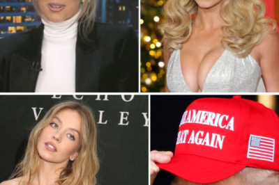 “OUTRAGE ERUPTS!” Fox Host Katrina Campins Praises Sydney Sweeney — Then Declares ALL Republican Women ‘Hot’ On Live TV