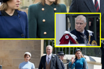 BREAKING: Princess Anne’s Quiet Banquet Entrance Hides a DEVASTATING Truth — And Harry’s Sudden TV Return Has the Palace Bracing for Impact