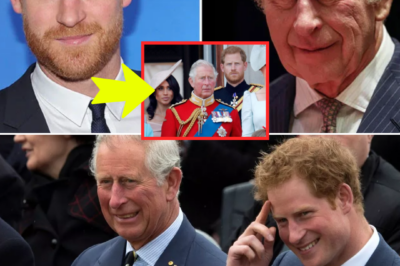 “ROYAL CHRISTMAS SH0:CK!” King Charles’ DRAMATIC Olive Branch to Prince Harry Could CHANGE Royal Family Future — ‘A Decision Years in the Making’