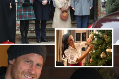PRINCE HARRY & MEGHAN’S CHRISTMAS RESET IS HERE — AND IT’S A TOTAL BREAK FROM ROYAL RULES