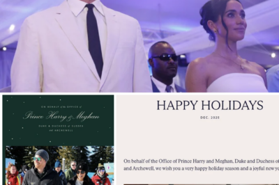 PRINCE HARRY & MEGHAN MARKLE’S CHRISTMAS MESSAGE LEAKED — And Fans Are Already Reacting