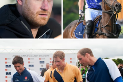 PRINCE HARRY LEFT IN AWKWARD SPOT — Announcer Introduces Duke of Sussex by the Wrong Name