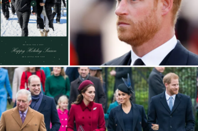 HOMESICK FOR BRITAIN? Prince Harry ‘Misses Elements of UK Life’ as He Prepares to Spend Christmas in the US