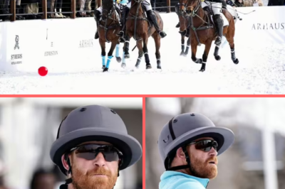 OUCH MOMENT CAUGHT ATTENTION… Prince Harry Hurt in Bizarre Mallet Incident as Fans Look On
