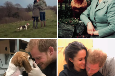 “They Sat on the Floor in Shock”: Meghan Markle and Prince Harry Left Devastated After Their Dog’s ‘Terrible Accident,’ Vet Reveals