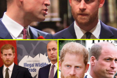 “No One Was Supposed to See This”: Former Royal Butler Reveals ‘Crazy’ Christmas Moment Between Prince William and Prince Harry