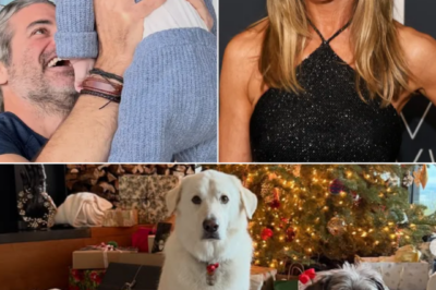 “THIS MADE FANS SMILE THROUGH TEARS”: Jennifer Aniston Shares a Rare, Sweet Glimpse of Her Holiday with Boyfriend Jim Curtis — “Sending You All the Love”