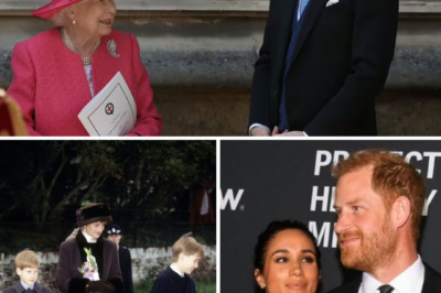 “A ROYAL DISASTER AVOIDED”: Prince Harry Reportedly BLOCKED From Giving the Late Queen His Hilarious Gift