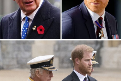 “JUST SEVEN WORDS — AND EVERYTHING HUNG ON THEM”: Prince Harry’s Reported Plea to King Charles After a Brutal Royal Snub That Left Insiders Stunned