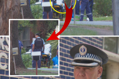 LOVE TURNS INTO TRAGEDY: A Family Shattered Forever in Sydney