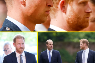 ROYAL TENSION: Prince William & Prince Harry’s Estrangement Set to Reach a ‘Flashpoint’ in 2026