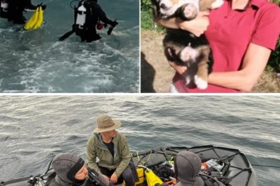 HORROR IN THE WATER: ‘Fearless’ Triathlete D!3s After Being Dragged Away by Shark During California Swim