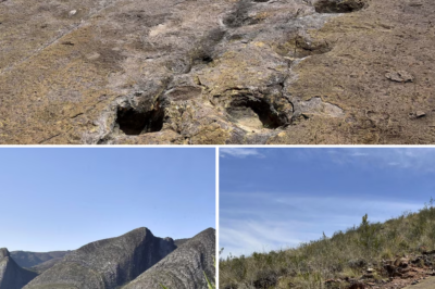 SHOCK: Tens of Thousands of Ancient, Giant Dinosaur Footprints Discovered in Bolivia – Revealing a Magnificent 145-Million-Year-Old Survival Vault of Our Ancestors!