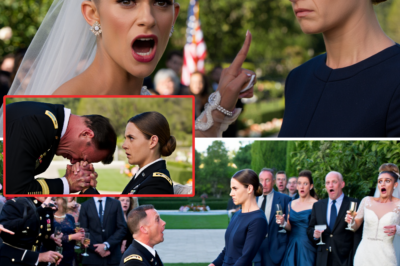 Navy Commander Humiliated and Called “Nobody” by Sister at Wedding – 30 Seconds Later, a 3-Star General KNEELS in Gratitude