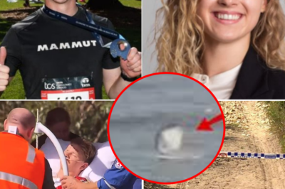 “Lukas, Something’s Watching Us” – The 14-Minute GoPro Footage Reveals the Entire Prelude to the Shark Attack That Claimed Livia Mühlheim’s Life Forever
