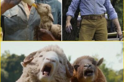 This Is the Holiday Movie Everyone Will Be Talking About — A Mur-der, a Hopeless Detective, and Sheep Who Decide to Solve the Cri:me Themselves