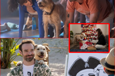 “A HOLIDAY ROM-COM NO ONE EXPECTED!” – Prime Video’s New Festive Romance Starring Zooey Deschanel & Charlie Cox Is Quietly Winning Hearts and Being Called an “Absolute Delight” 🎄✨