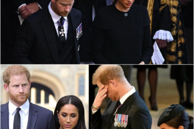 “NO DOOR WILL OPEN…” — HARRY WINS IT ALL, BUT SOMETHING VITAL REMAINS OUT OF REACH