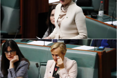 “SHE KEPT FIGHTING IN SILENCE”: Former Higgins MP Katie Allen Di-es at 59 — The Private Battle Few Knew About