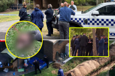 “We Never Expected This”: Victim Identified After Shocking Discovery at Phillip Island Property