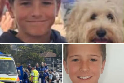 The Final 7 Words: Nico Antic’s Last Message Is Released to Police After Tragedy