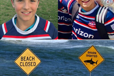 NSW Shark Encounters Surge as Three Far North Coast Beaches Shut Down After Scare