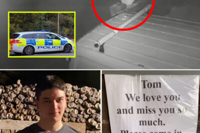 “He Had His Whole Life Ahead of Him”- CCTV Caught His Final Walk — What Happened in the Hours Before Tom Dingle’s De@th?