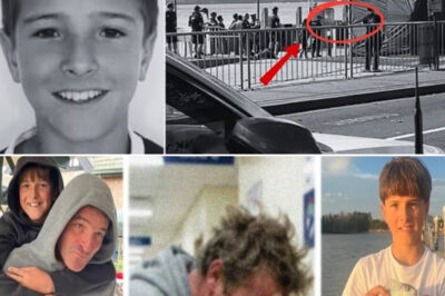 Doctors Fear the Worst After 12-Year-Old Boy Is Mauled by Shark in Sydney, Family Braces for Grim Outcome