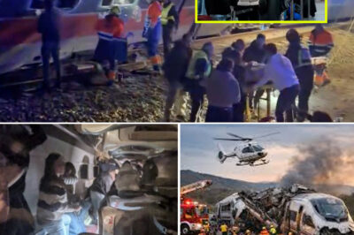 Spain in Sh0ck as Two High-Speed Trains Crash Near Córdoba, K*lling D0zens