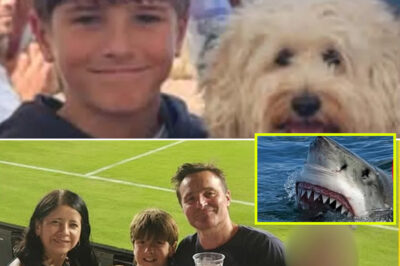 Hospital Falls Silent as Family Reveals the Haunting Final Words of a 12-Year-Old Before His D-e-a-th