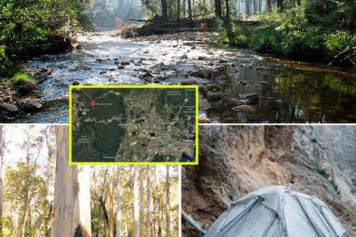 Teen Camping Trip Sparks Urgent Search After Friends Lose Contact in Blue Mountains National Park