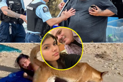 30 Seconds of Footage, Hours Before De-a-th: The Dingo Video Raising Uncomfortable Questions