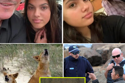 “I’ve Never Seen That”: Fisherman Describes Strange Dingo Behavior Near Piper James