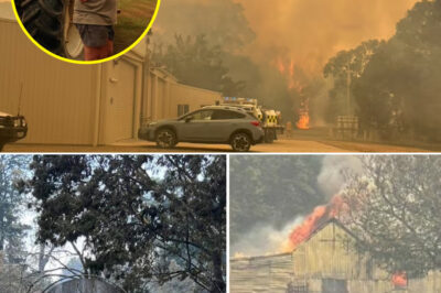 “It’s All Gone”: Victoria Left in Ruins After Horrific Blaze Defies 400 Volunteers and 100 Rescue Machines