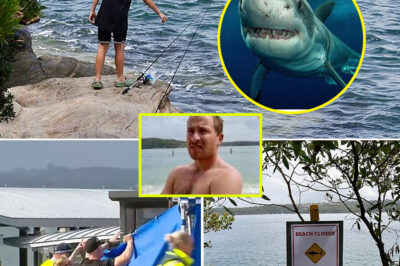 He Saved His Friend’s Life — Now His Family Reveals the Emotional Toll After the Sydney Harbour Shark A-t-tack