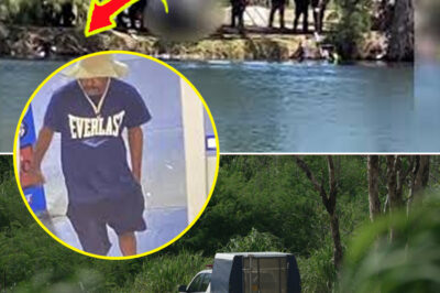 No Escape: Air and Naval Forces Mobilized Overnight as Missing 44-Year-Old Case Takes a H0rrifying Turn