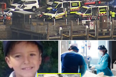 Devastating Update: 12-Year-Old Soccer Star Nico Antic Declared Brain De@d After Sydney Harbour Shark Attack