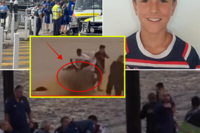 Final Recording Revealed: The 37-Second Audio Before Nico Antic’s De@th Ends With Three Chi-l-ling Words