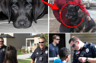 Chris Palmer Case Takes a Dark Turn: Dogs Barking Heard Near Discovery Site Hours Before His Vehicle Was Found