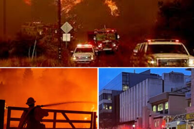 After 40 Years, the Nightmare Returns: Wall of Fire Forces Overnight Evacuation as Gellibrand Faces Historic Disaster