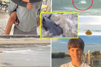 “If There’s a Next Life, I Hope You’re Still My Son”: A Mother’s Ha-unting Words After 12-Year-Old Nico Antic Is Injured in a Shark At-tack