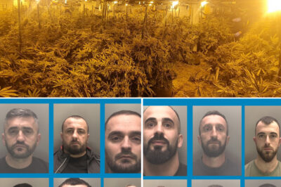 Hidden in Plain Sight: How a Secret Operation in Liverpool Was Uncovered by Chance