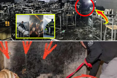 Grim Discovery in a Bar Bathroom: Swiss Police Confirm Vic–t-im’s Identity After K-9 Search