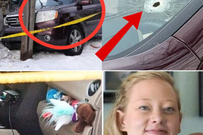 New Leaked 911 Recordings Rock Renee Good Case, Revealing Final Moments Before Minneapolis Shooting